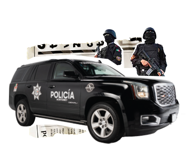 Seguridad pública